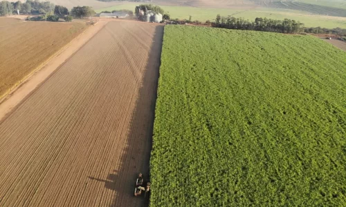 fazenda-brasilagro2
